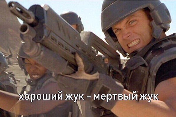 Смертельно опасны. На юге России зафиксировано нашествие клещей-мутантов