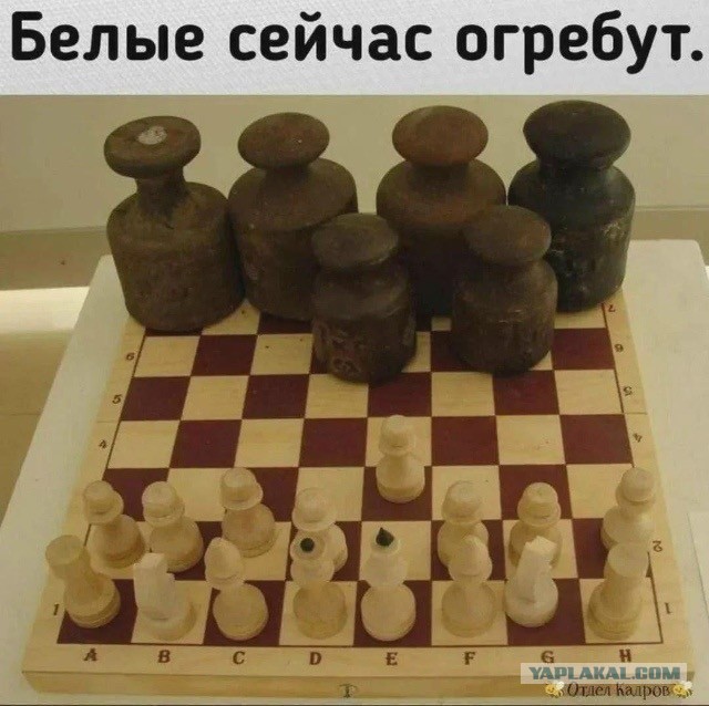 Макс, ты @хуел?!