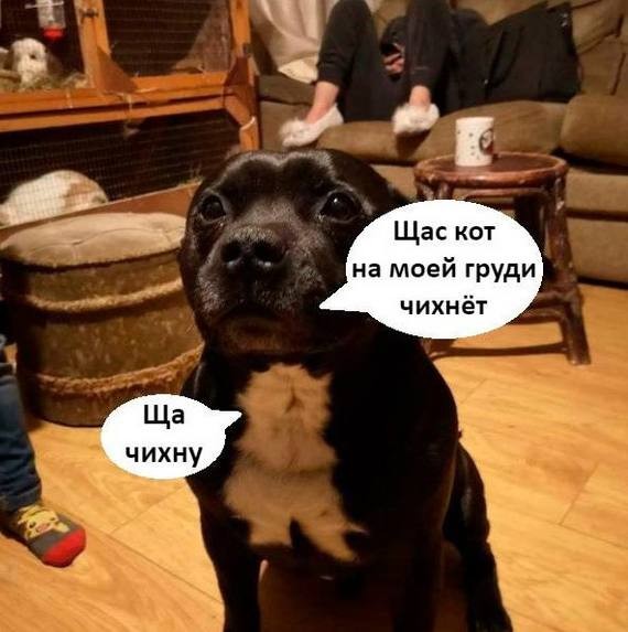 Не больной ублюдок, а хорошая фантазия