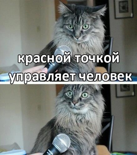 К котовторнику: подборка картинок-баянов с котиками и про котиков. Выпуск 44.