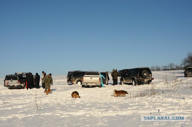 Мир не без добрых людей!