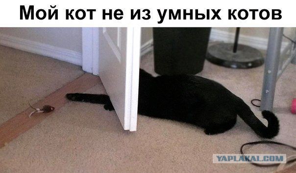 Позитивные картинки
