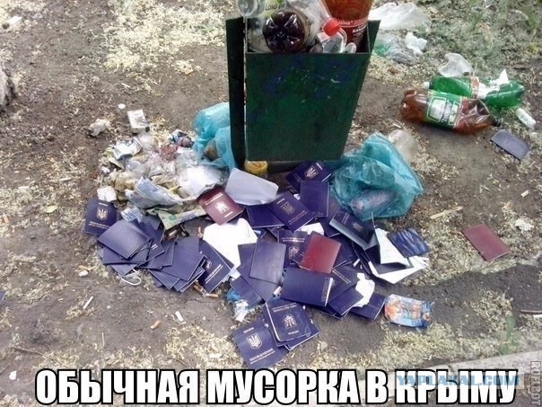 Немного картинок