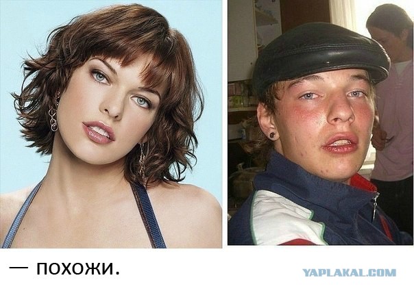 Двойники знаменитостей