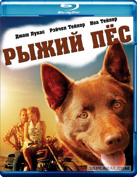 7 неголливудских фильмов