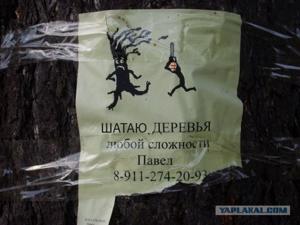 Объявление.