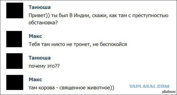 Смешные комментарии из социальных сетей
