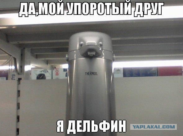Упоротость вокруг нас