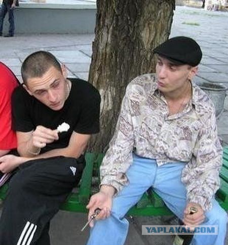 Что такое база и почему она является основой всех