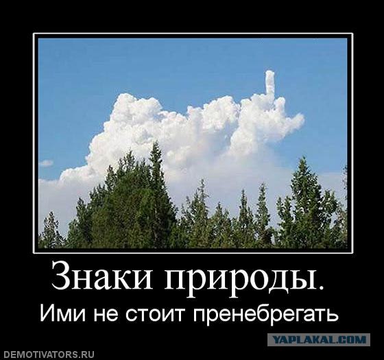 Немного позитива