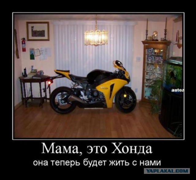 Фотоприколы