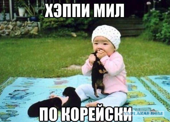 Забавные картинки из Сети