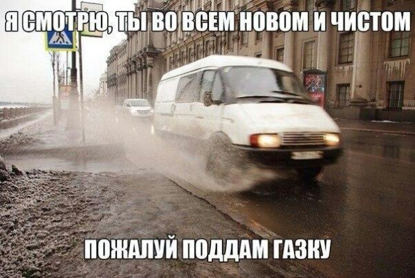Картинки из сети, подборка на пятницу.