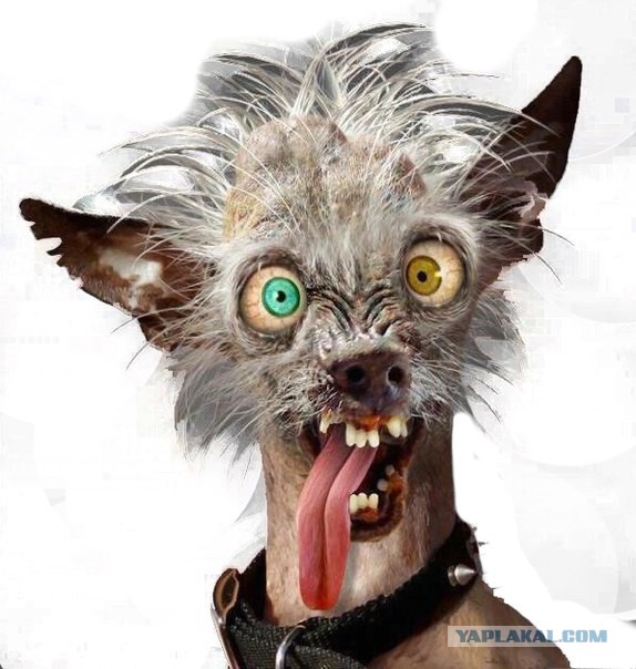 Вспыхнувший бензовоз поджег половину улицы в Египте