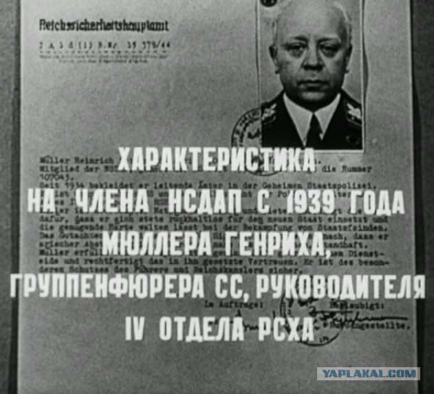 Стали известны требования к желающим поступить на службу в Нацгвардию России