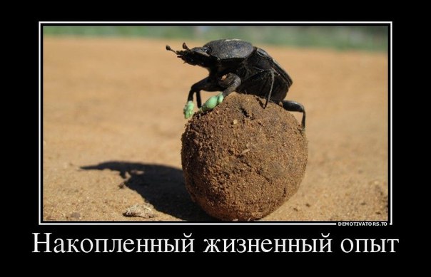 Картинки всякие