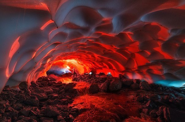 Порция картинок