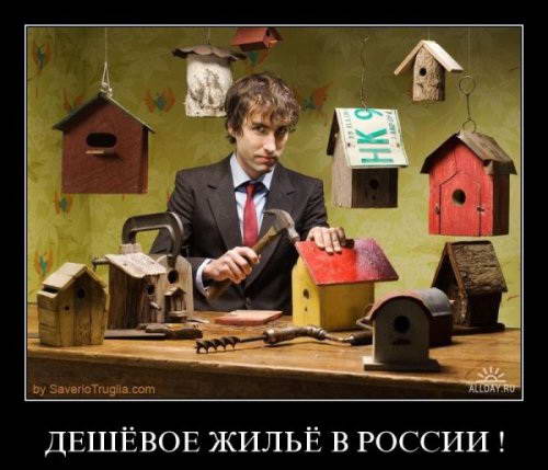 Демотиваторы