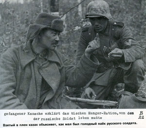Волховский фронт. 1942. Взгляд с той стороны.