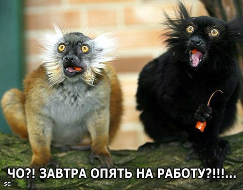 Соцсети - и смех и грех