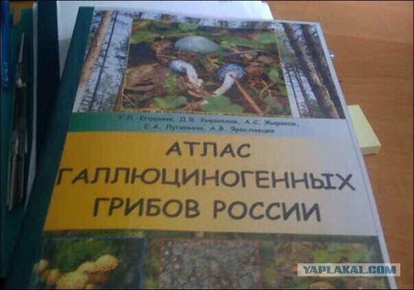 Картинки из инета