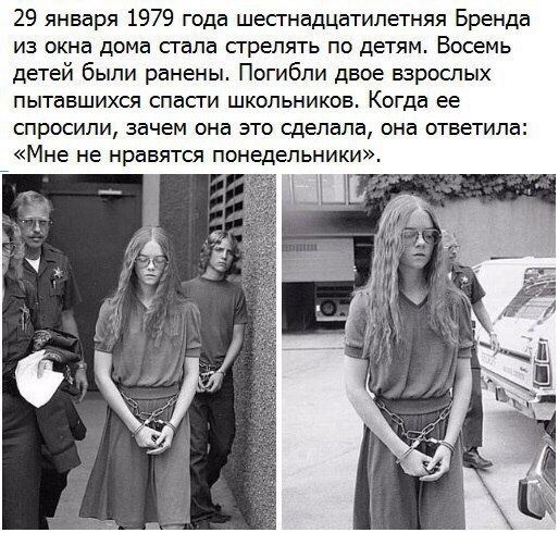 Не очень светлый и абсурдный юмор