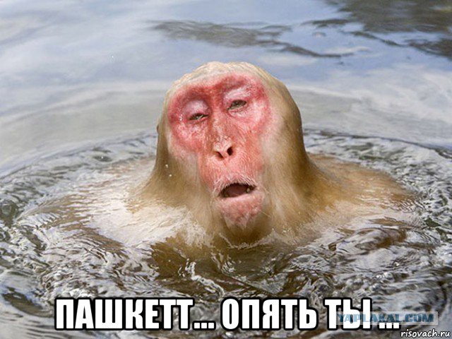 Здравствуйте, друзья! Я снова с Вами! С уважением, Пашкетт