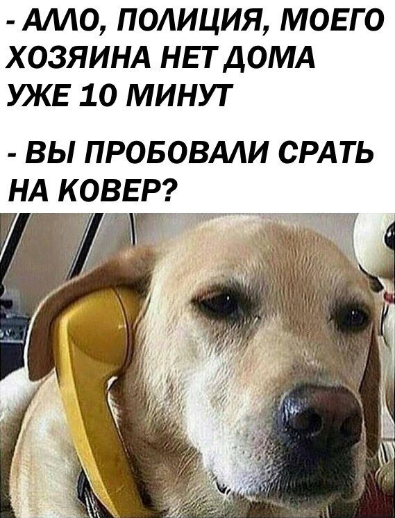 Открываю сундучок с тупежом