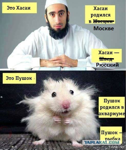 Это была славная охота