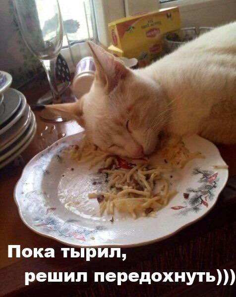 Подборка интересных и веселых картинок