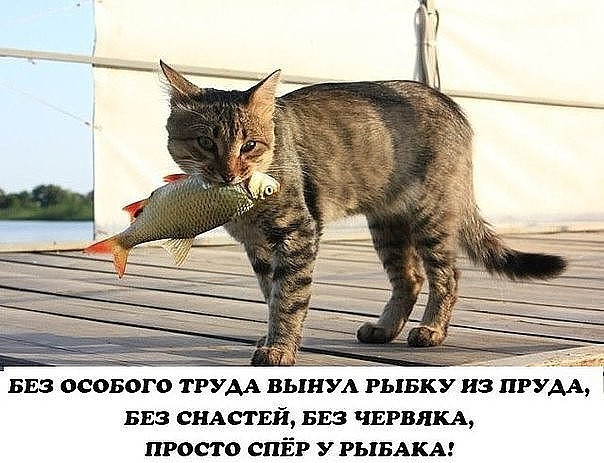 Нестандартный юмор