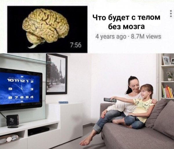 Пудрить мозги. Brain & body bends франшиза. Организмы без мозгов. Организмы без мозгов. Миндалевидное тело мозга.