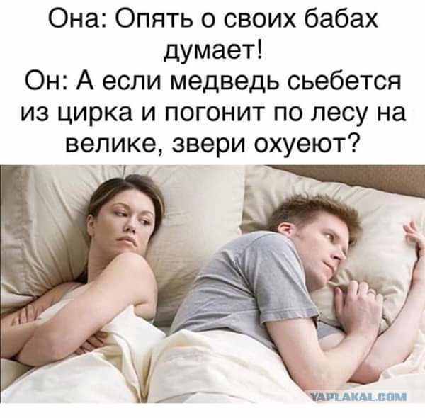 Умные мысли - 17