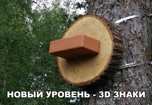 Лента прикольных картинок