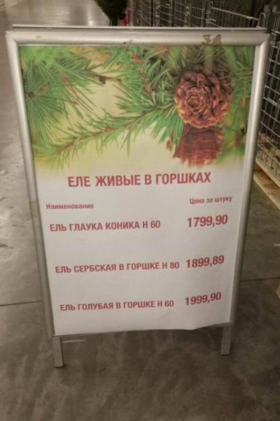 Всякое из этих ваших интернетов