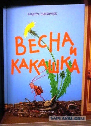 Погоня за книгой