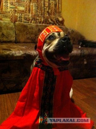 Собакочетверг