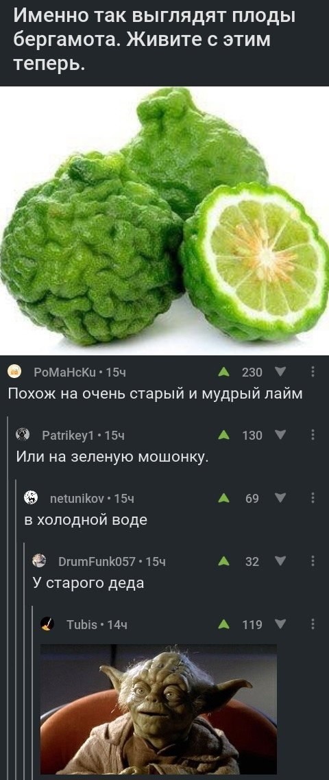 Кривые зеркала