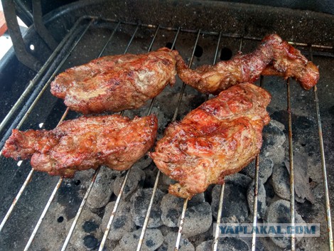 Шашлык в квартире