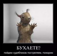 Геноцид женщин