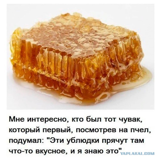 Разные и без темы