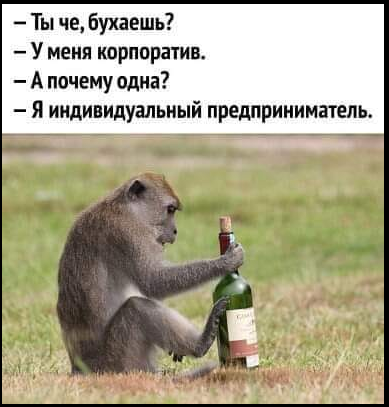 Типы коллег, за которых стыдно на корпоративе