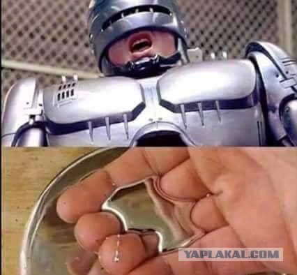 Чудеса рядом