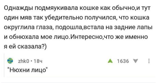 Чуток картинок. 02.02.20