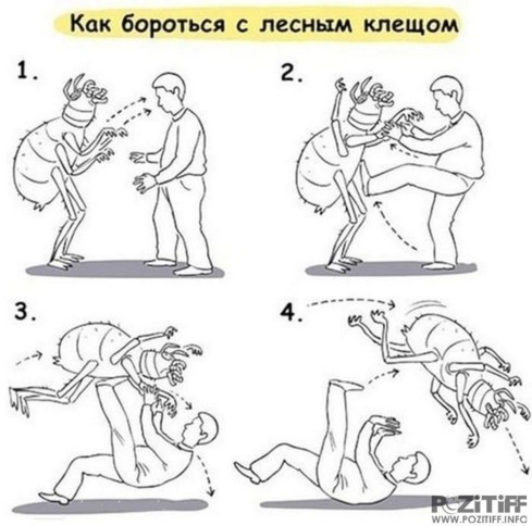 Помогите опознать насекомое. Кажется в Москве проснулись клещи