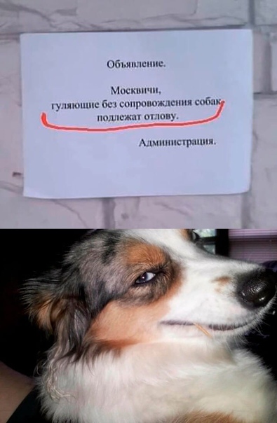 Пара-пара-пам! Фьють!
