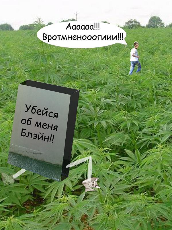 Убегающая стена