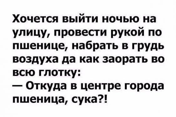 Бредзона 28.08.2020