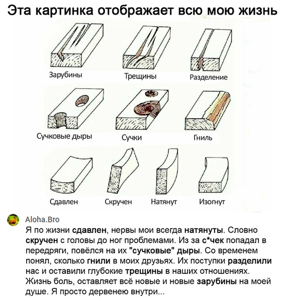 Немного картинок для настроения 05.11.20