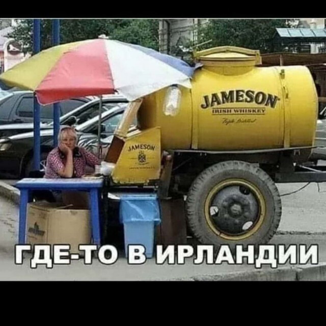 Фотки и картинки: юморные и красивые, забавные и милые 11.11.20